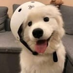 Javier Pérez Avatar